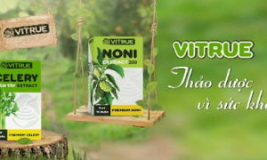 Nhãn hàng Vitrue: sản phẩm chăm sóc sức khỏe và làm đẹp với chiết xuất thuần tự nhiên